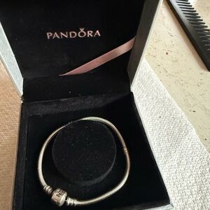 Pandora Silver Charm Bracelet